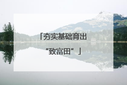 夯实基础育出“致富田”