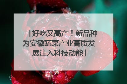 好吃又高产！新品种为安徽蔬菜产业高质发展注入科技动能