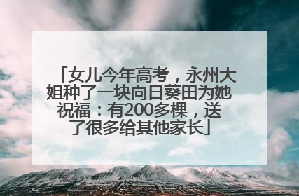 女儿今年高考，永州大姐种了一块向日葵田为她祝福：有200多棵，送了很多给其他家长