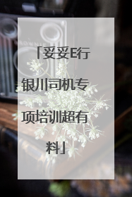 妥妥E行银川司机专项培训超有料