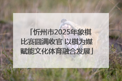 忻州市2025年象棋比赛圆满收官 以棋为媒赋能文化体育融合发展