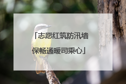 志愿红筑防汛墙 保畅通暖司乘心