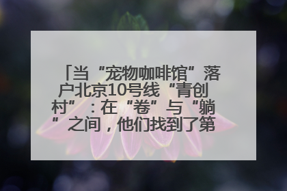 当“宠物咖啡馆”落户北京10号线“青创村”：在“卷”与“躺”之间，他们找到了第三种生活公式