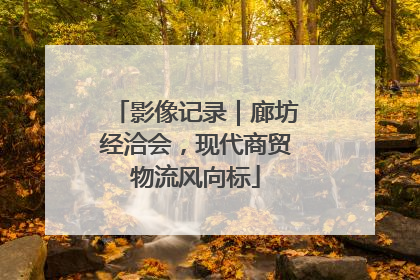 影像记录｜廊坊经洽会，现代商贸物流风向标