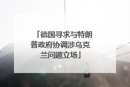 德国寻求与特朗普政府协调涉乌克兰问题立场