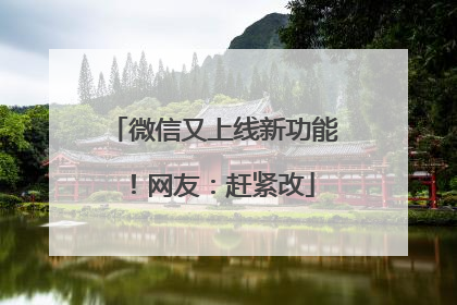 微信又上线新功能！网友：赶紧改