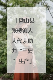 微山县张楼镇人大代表助力“三夏”生产