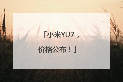 小米YU7，价格公布！