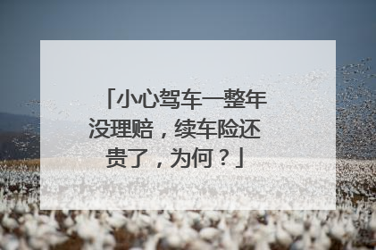 小心驾车一整年没理赔，续车险还贵了，为何？