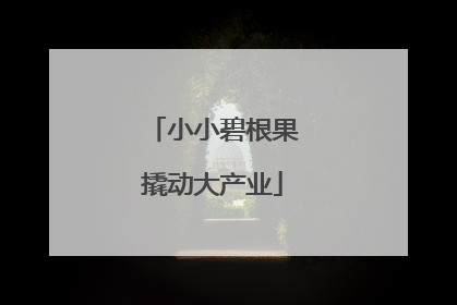 小小碧根果撬动大产业