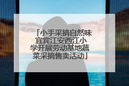 小手采摘自然味 宜宾江安西江小学开展劳动基地蔬菜采摘售卖活动