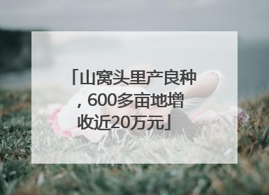 山窝头里产良种，600多亩地增收近20万元