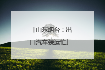 山东烟台：出口汽车装运忙