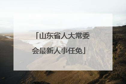 山东省人大常委会最新人事任免
