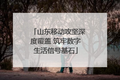山东移动攻坚深度覆盖 筑牢数字生活信号基石