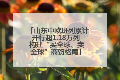 山东中欧班列累计开行超1.18万列 构建“买全球、卖全球”商贸格局