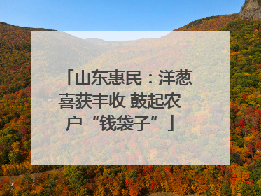 山东惠民：洋葱喜获丰收 鼓起农户“钱袋子”