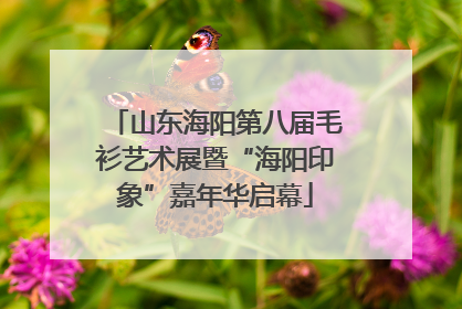 山东海阳第八届毛衫艺术展暨“海阳印象”嘉年华启幕