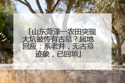 山东菏泽一农田突现大坑被传有古墓？属地回应：系老井，无古墓迹象，已回填