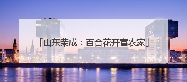 山东荣成：百合花开富农家