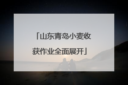 山东青岛小麦收获作业全面展开