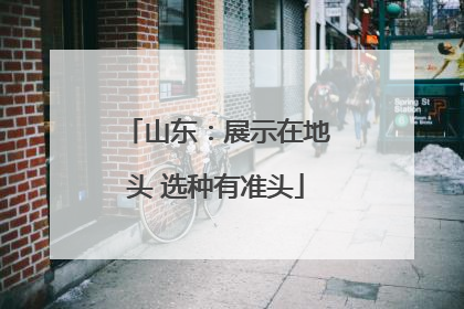 山东：展示在地头 选种有准头