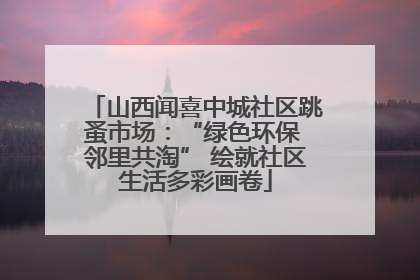山西闻喜中城社区跳蚤市场：“绿色环保 邻里共淘” 绘就社区生活多彩画卷