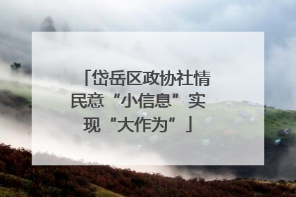 岱岳区政协社情民意“小信息”实现“大作为”