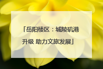 岳阳楼区：城陵矶港升级 助力文旅发展