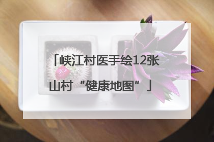 峡江村医手绘12张山村“健康地图”