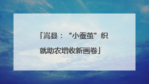 嵩县：“小蚕茧”织就助农增收新画卷