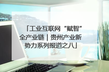 工业互联网“赋智”全产业链｜贵州产业新势力系列报道之八
