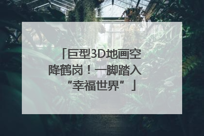 巨型3D地画空降鹤岗！一脚踏入“幸福世界”