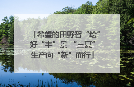 希望的田野智“绘”好“丰”景 “三夏”生产向“新”而行