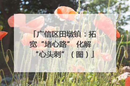 广信区田墩镇：拓宽“堵心路” 化解“心头刺”（图）