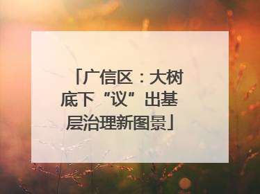 广信区：大树底下“议”出基层治理新图景