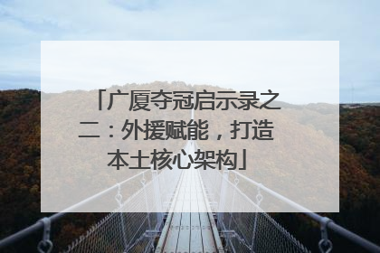 广厦夺冠启示录之二：外援赋能，打造本土核心架构
