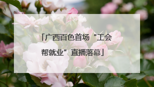广西百色首场“工会帮就业”直播落幕