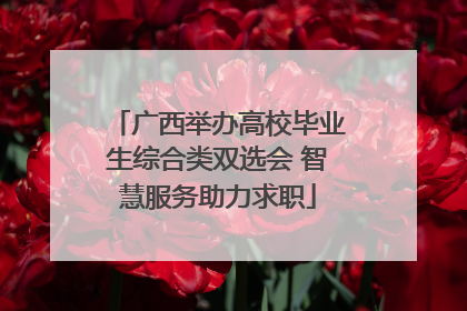 广西举办高校毕业生综合类双选会 智慧服务助力求职