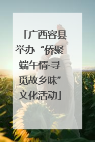 广西容县举办“侨聚端午情·寻觅故乡味”文化活动