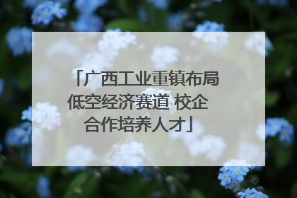 广西工业重镇布局低空经济赛道 校企合作培养人才