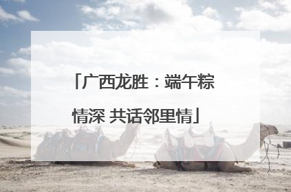 广西龙胜：端午粽情深 共话邻里情