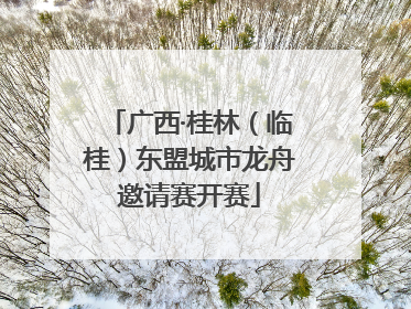 广西·桂林（临桂）东盟城市龙舟邀请赛开赛