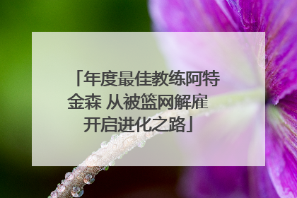 年度最佳教练阿特金森 从被篮网解雇开启进化之路