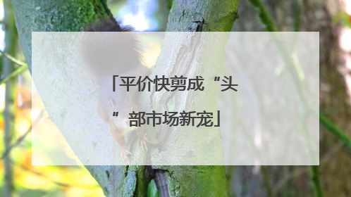 平价快剪成“头”部市场新宠