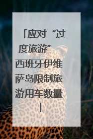 应对“过度旅游” 西班牙伊维萨岛限制旅游用车数量
