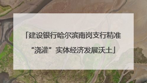 建设银行哈尔滨南岗支行精准“浇灌”实体经济发展沃土