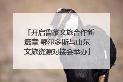 开启鲁蒙文旅合作新篇章 鄂尔多斯与山东文旅资源对接会举办