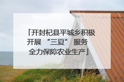 开封杞县平城乡积极开展 “三夏” 服务 全力保障农业生产