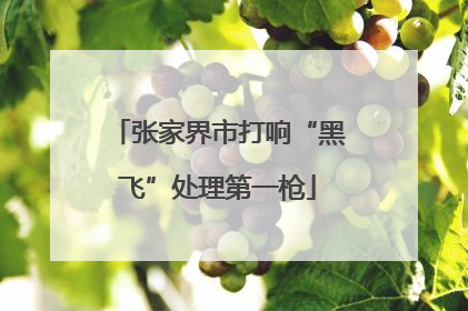 张家界市打响“黑飞”处理第一枪